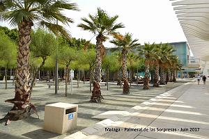 122- Malaga Palmeral Sorpresas